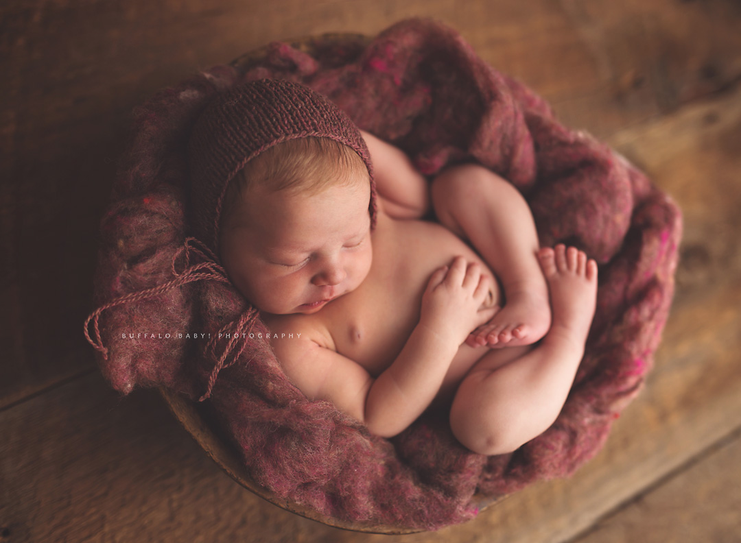 Newborn Photography Buffalo NY