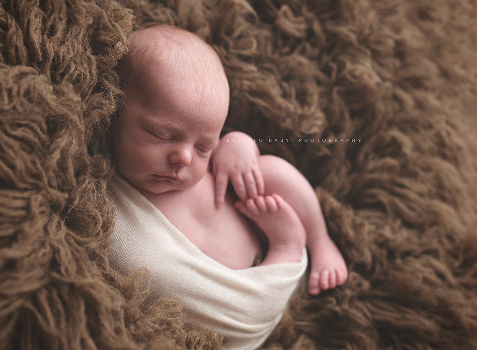 Newborn Photography Buffalo NY