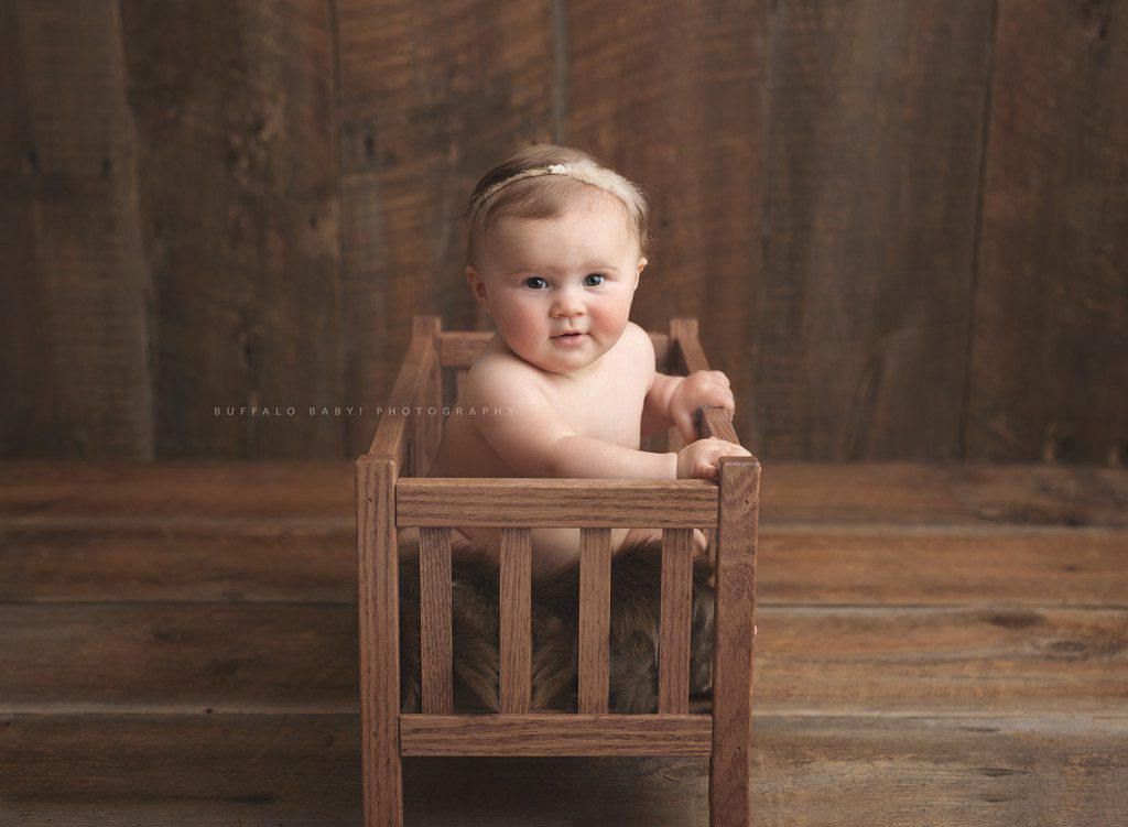 Buffalo baby photography